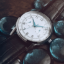 Watch accessories
